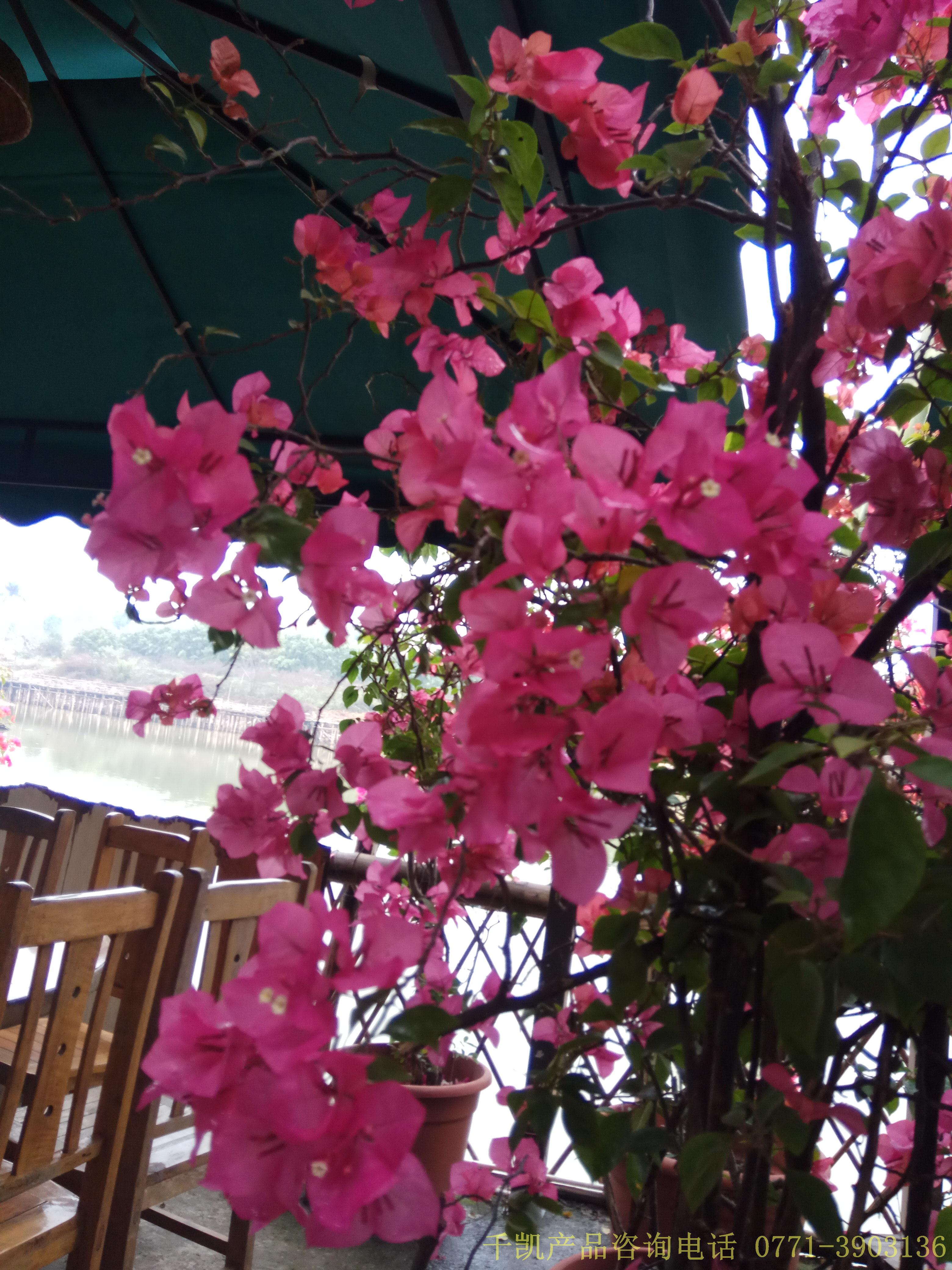 南寧不銹鋼水箱廠家千凱之燒烤活動(dòng)，咨詢0771-3903136