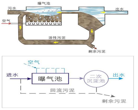 9活性污泥法